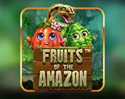 Fruits of the Amazon